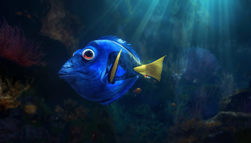 animovana_rybka_dory.jpg