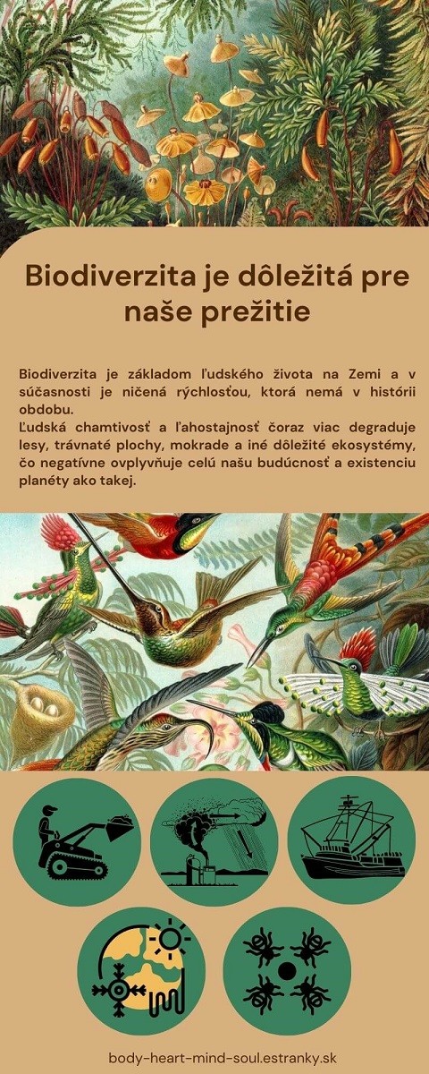 biodiverzita--1-.jpg