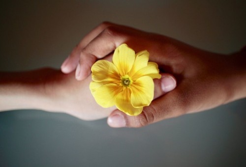 hand-in-hand.jpg